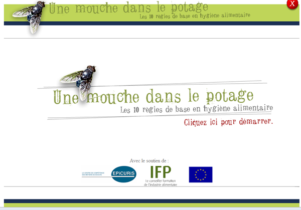 Description : mouche demo