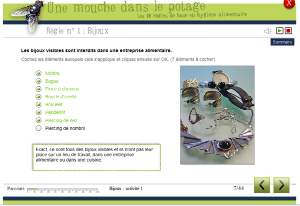 Description : la mouche 2.PNG