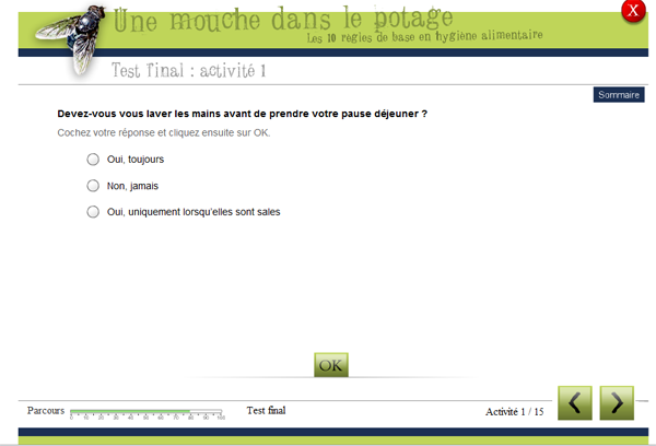 Description : mouche testF.PNG